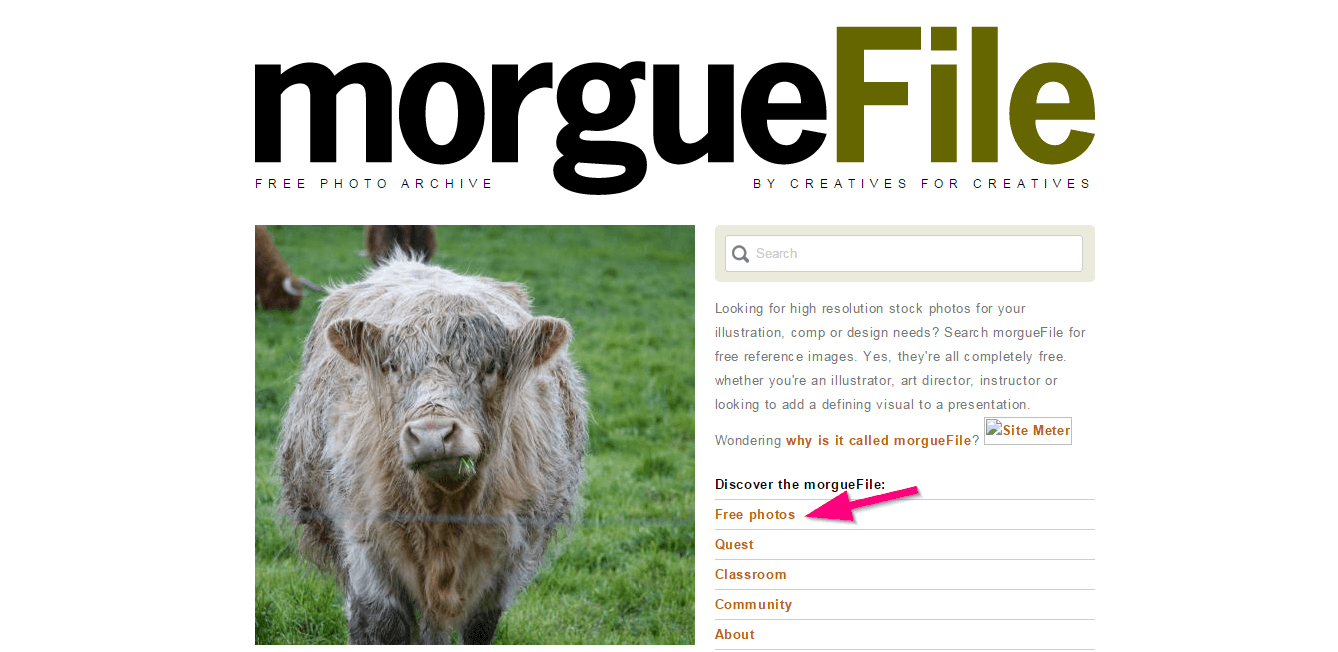 Morguefile: free stock photos